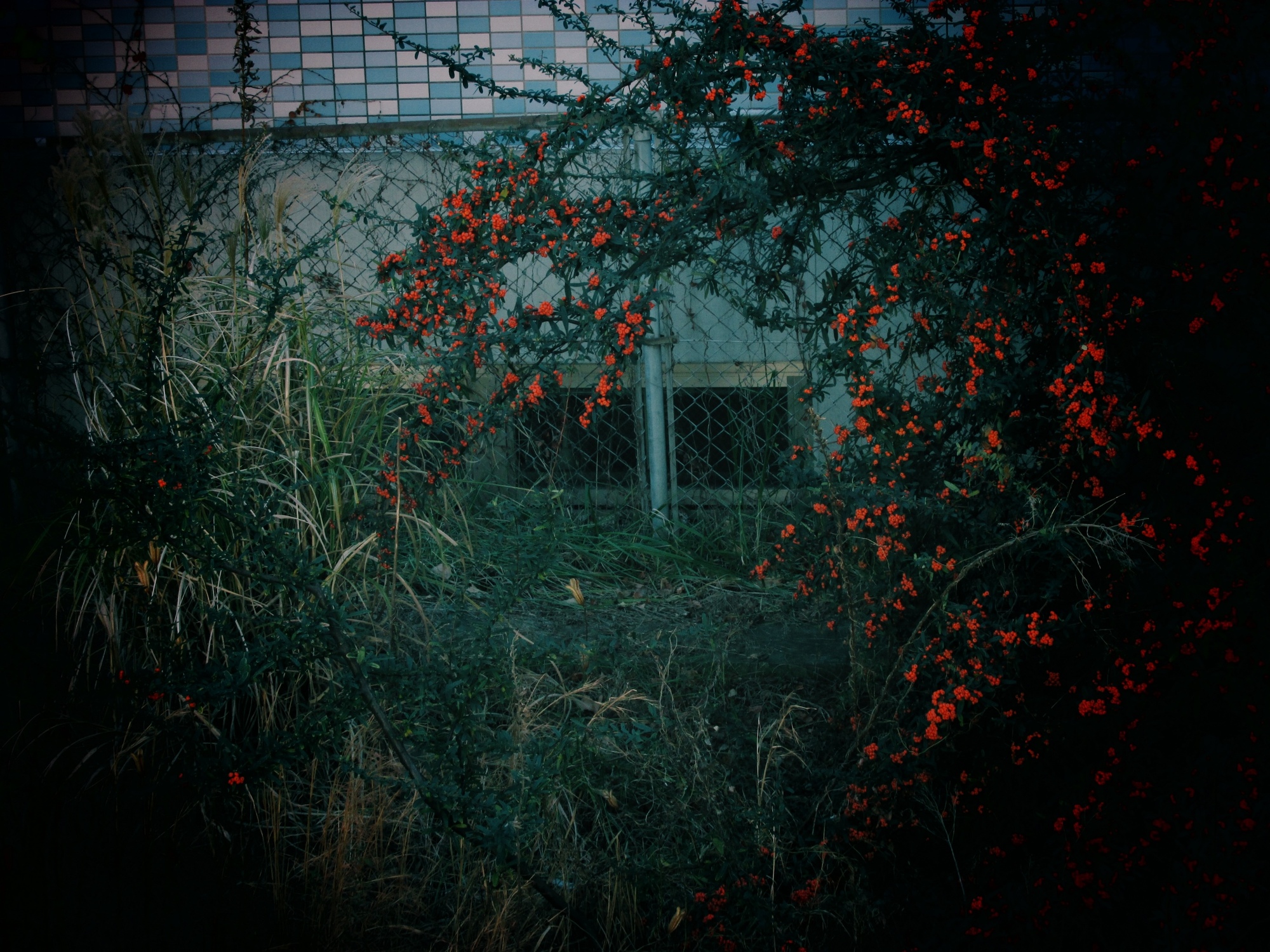 多喜 徹 Toru Taki N0 6